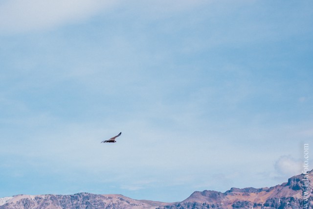 Перуанцы о русских. Три главных слова