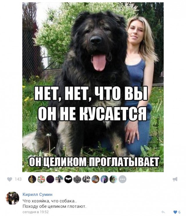 Ужасы и приколы из соцсетей 18+