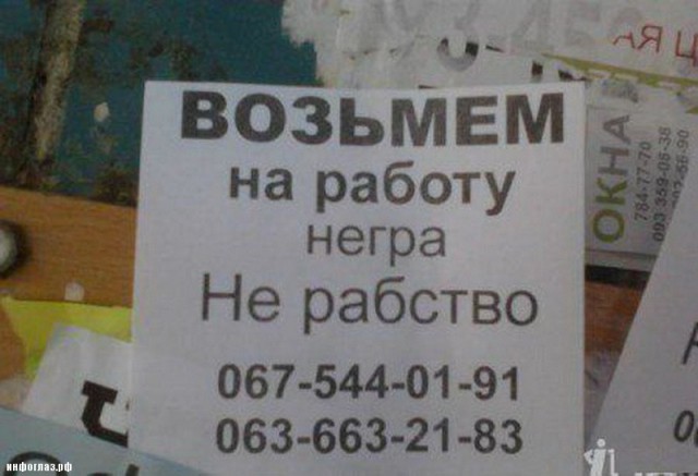 Нужен помощник по хозяйству, Воронежская область