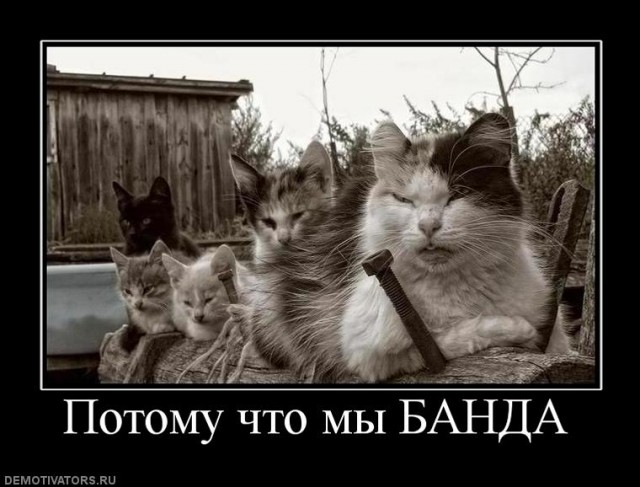 Футбол. Чемпионат России. Межсезонье