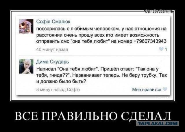 Очередная порция перлов из сети