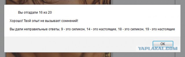 Тест на знание сисек