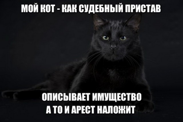 Подборка интересных и веселых картинок