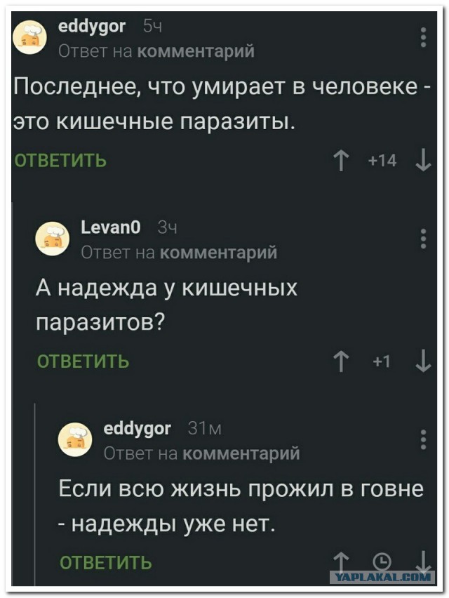 Смешные комментарии из социальных сетей 29.12.2017.