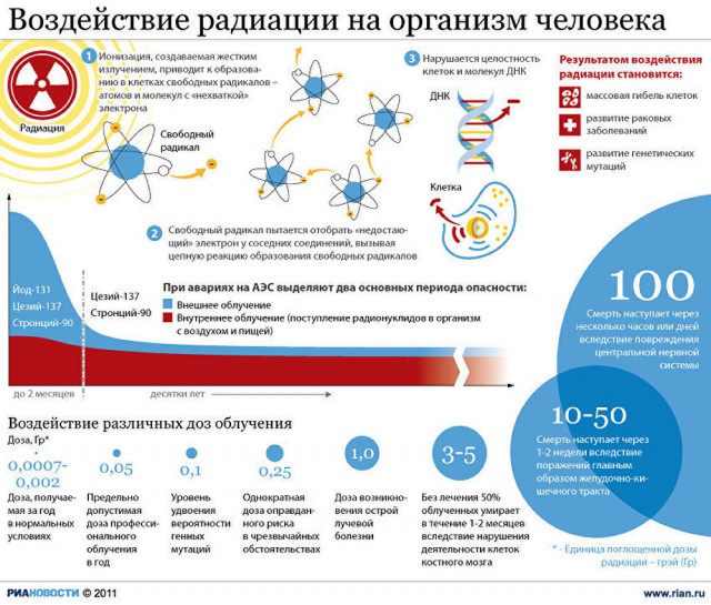 Горит самая зараженная часть Чернобыля - Рыжий Лес