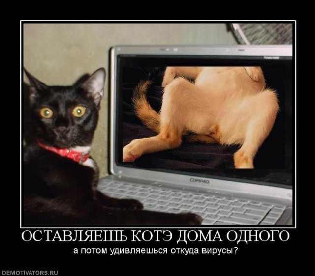 Немного пошлости на вечер субботы
