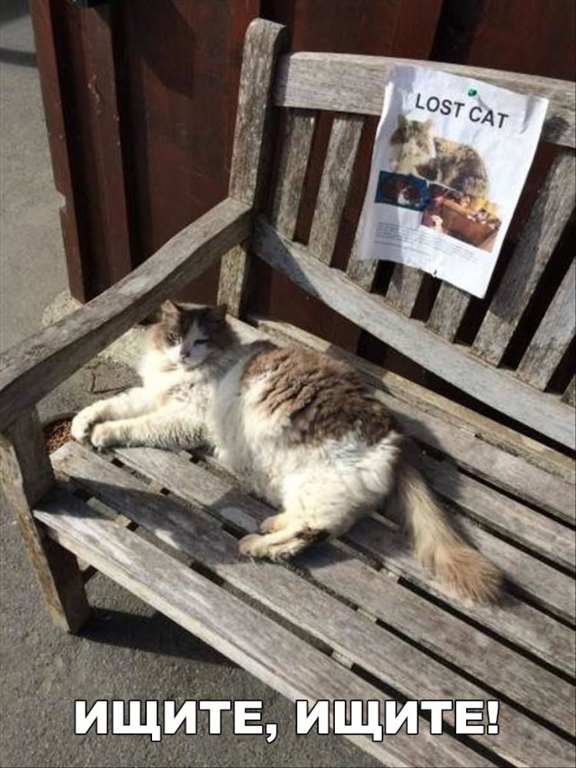 Прикольные картинки абавсём