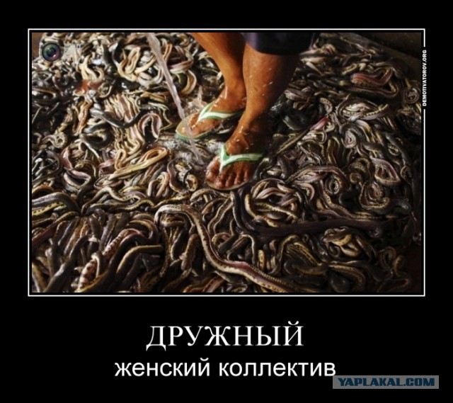 Наш дружный женский коллектив картинки