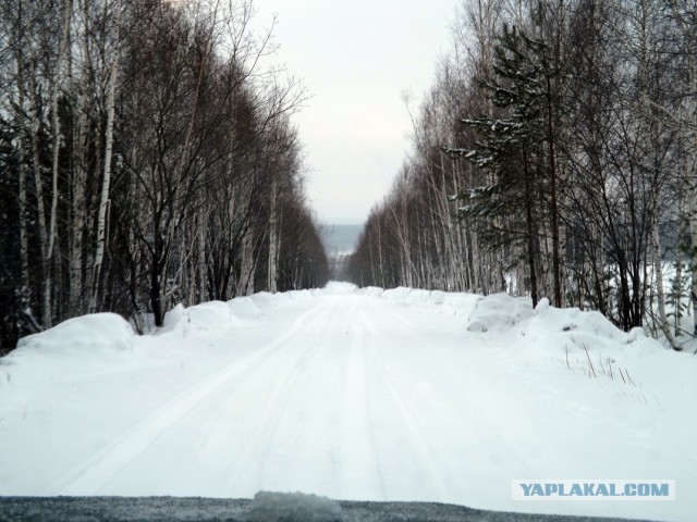 Кулинария 10 лет спустя. С Днем Рождения!