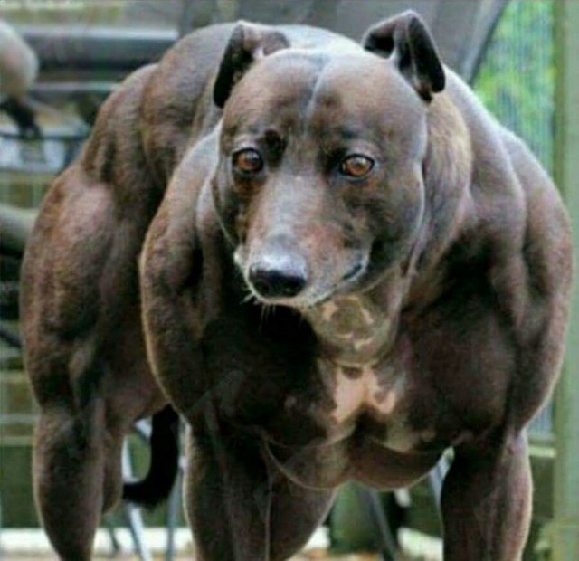 В этом мире ещё так много интересного