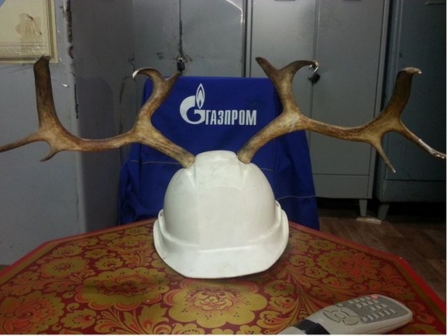 Ямальским вахтовикам, работающим на «Газпром добыча Уренгой», выдали фирменные каски в форме ковбойской шляпы