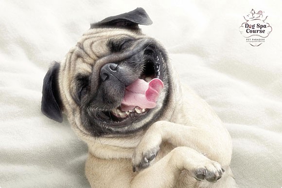 Рекламные постеры, которые заставляют улыбаться