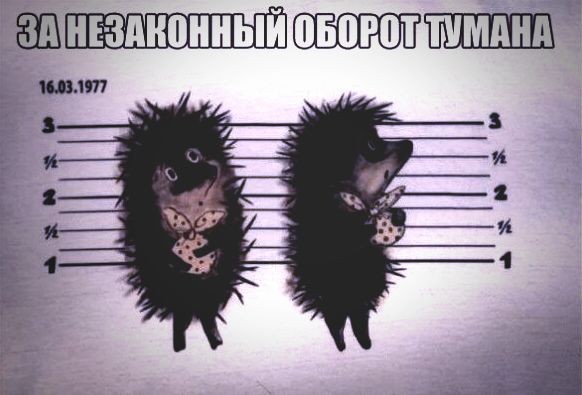 Чуток картинок 23.01.2020