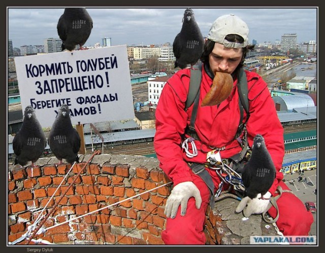 Фотожаба: Грустный альпинист