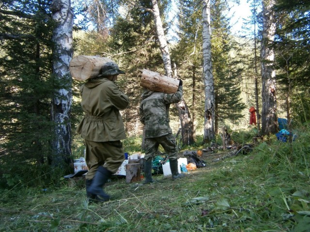 На конягах по Алтаю