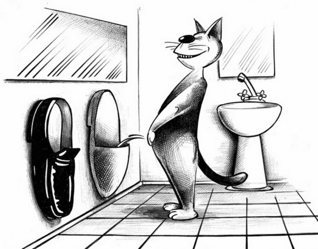 С котопятницей! Улыбнемся?