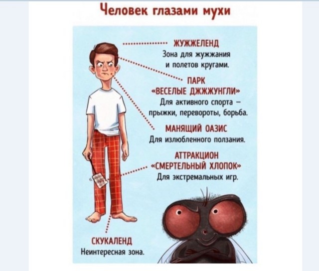 Картинки и мемы для настроения 028