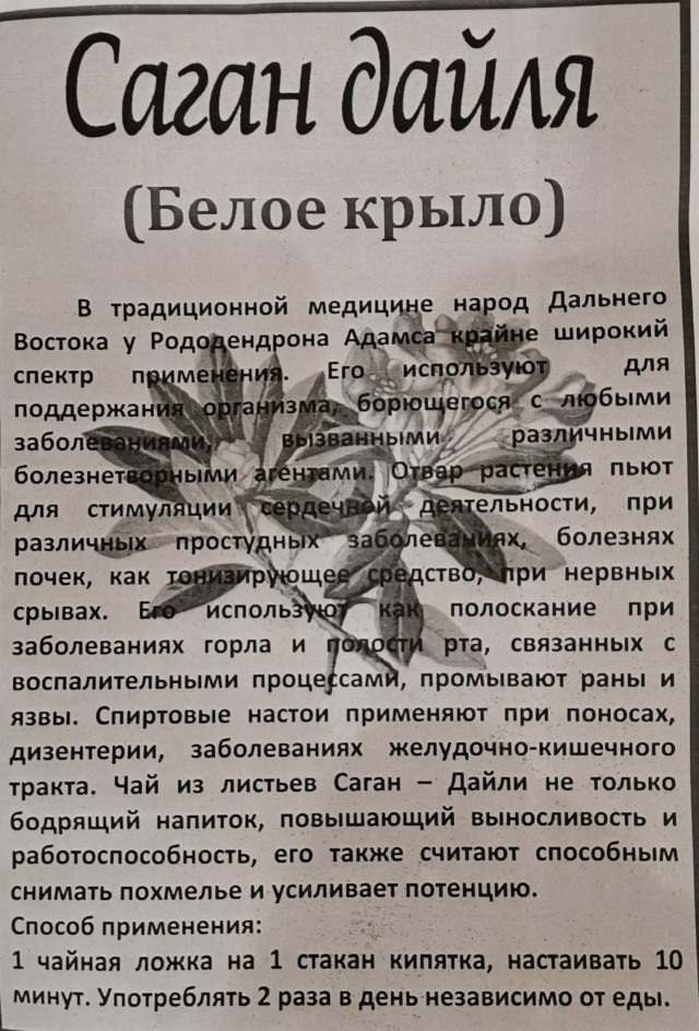 С природными энергетиками у кого есть опыт?