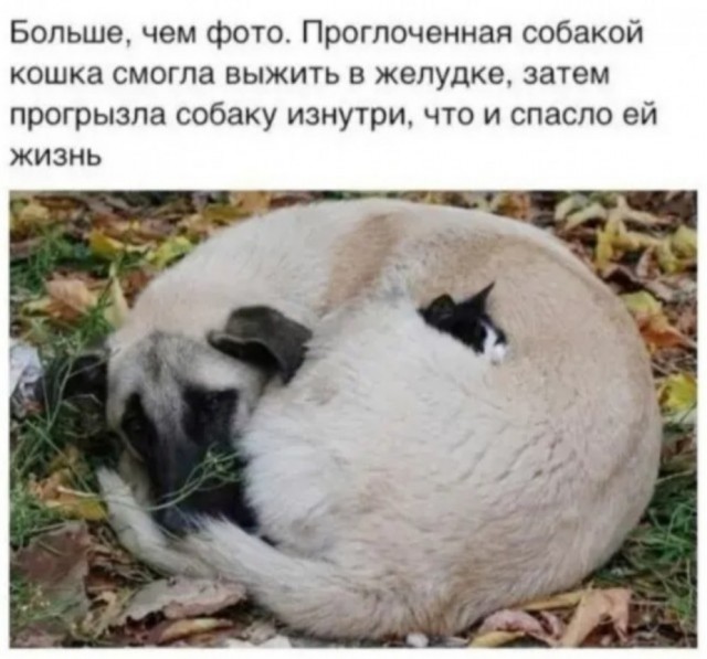 Бредзона 15.03.21