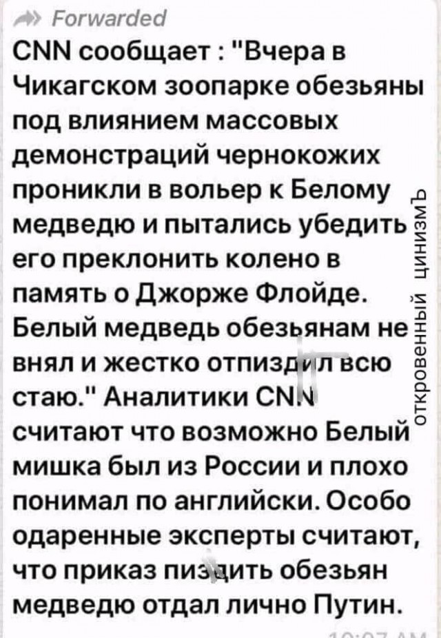Негры просто пришли в гости