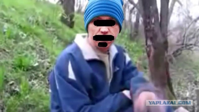 Живу в Сосновом Бору