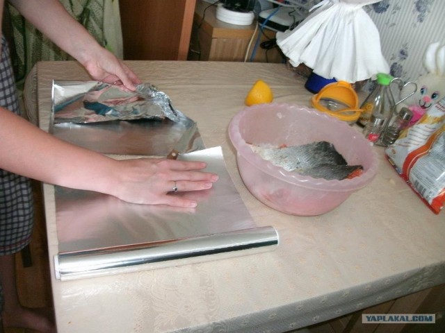 Пятничные посиделки на теплотрассе ©