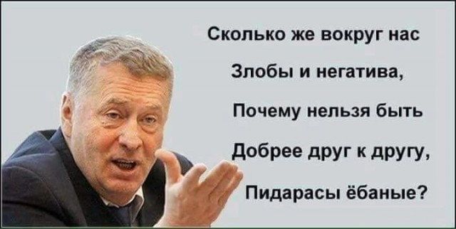 Жириновский предложил Путину посадить всех участников акции на Пушкинской «в вагон до Магадана»