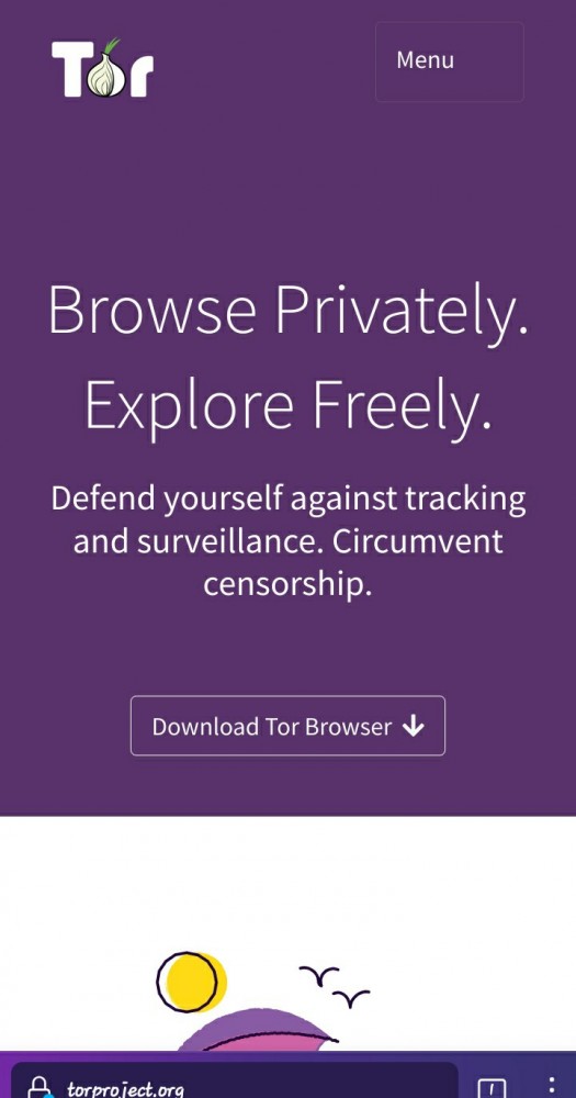 Роскомнадзор заблокировал сайт Tor по решению Саратовского районного суда за 2017 год