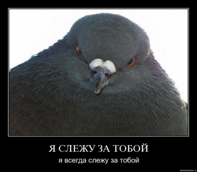 Киевский канибализм.