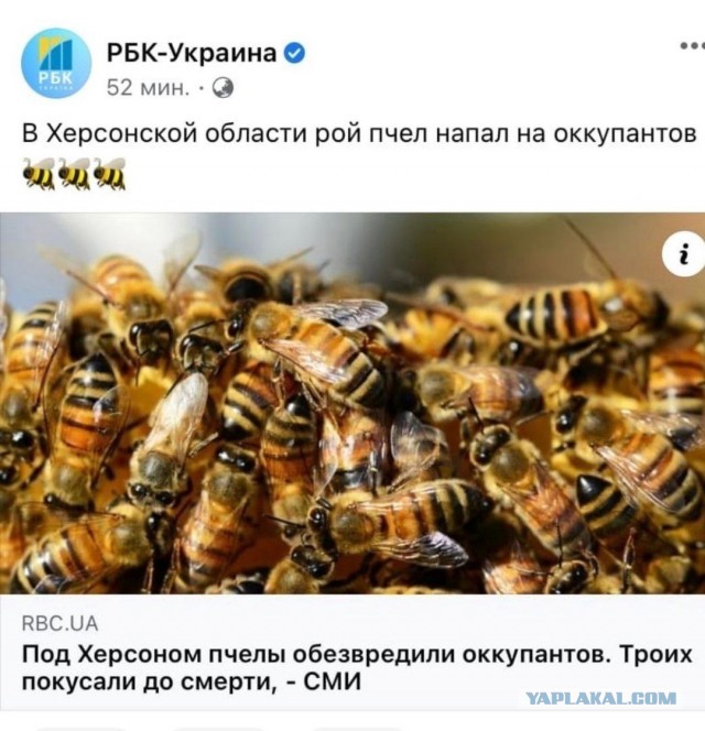 Россию обвинили в использовании обезьяньей оспы в качестве биологического оружия