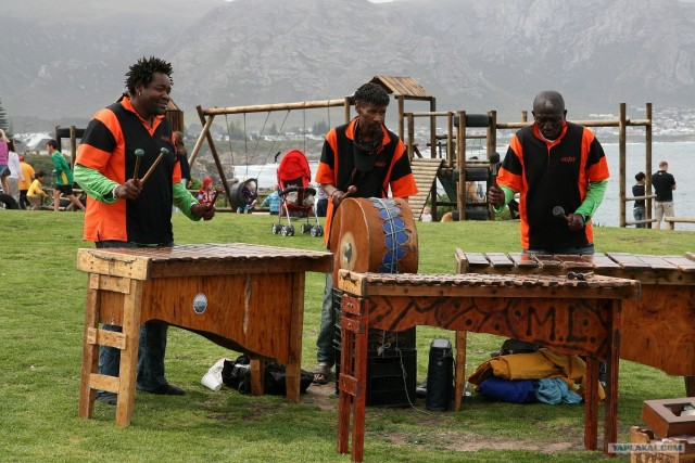 ЮАР, Замбия, Ботсвана