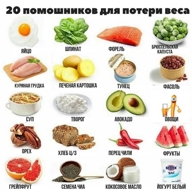 19 важных, нужных и познавательных шпаргалок, которые могут пригодиться в жизни