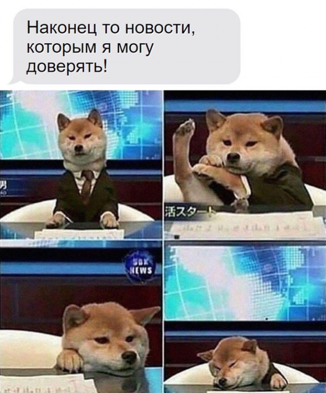 Картинки и мемы, всем хороших выходных