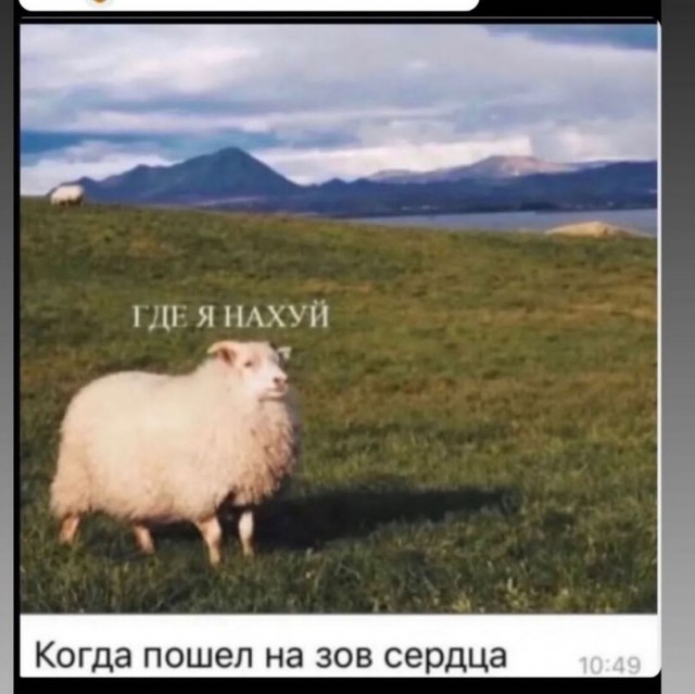 Картинки разные нужны, картинки разные важны