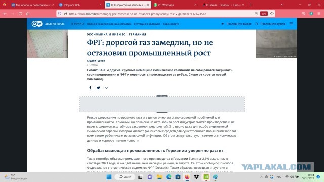 Лунёв: "Немцы экономят электричество? Не замечал. Нормально живут, пиво пьют"
