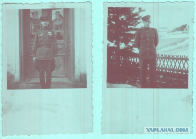 ЯП, вдруг поможете?