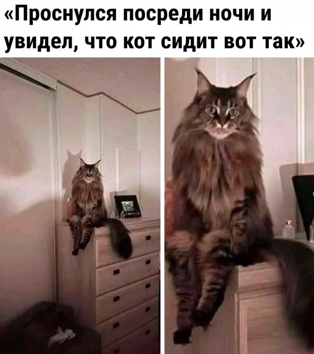Так себе картинки 17.12.22