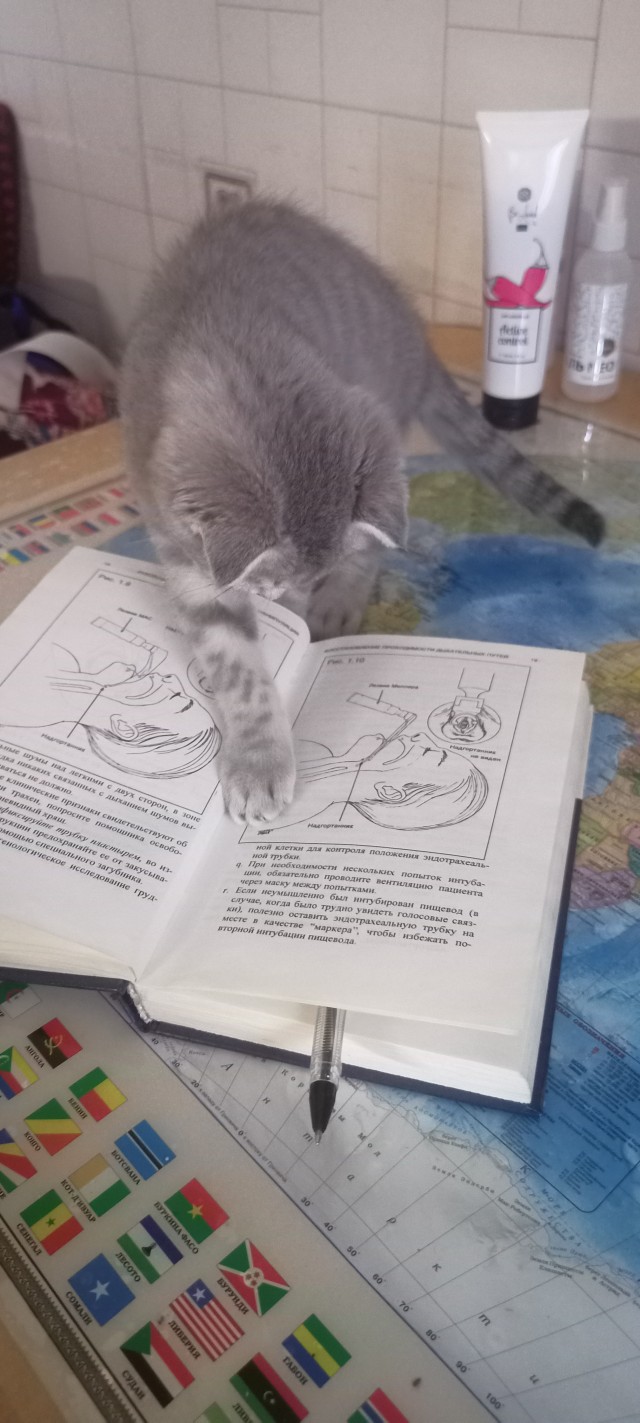 Доброе утро, ЯП