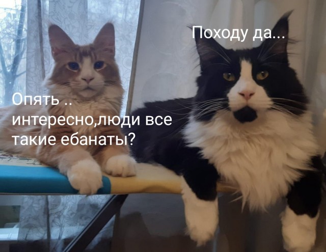 Вообщем мой мужчина на меня обиделся за 23