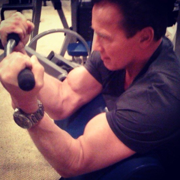 Железный Арни возвращается