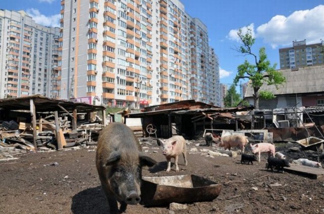 Стереотипный район Москвы - Бутово