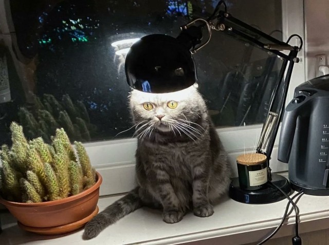 Наиграл