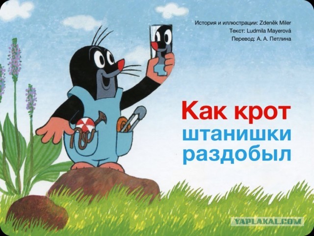 Мечты сбываются