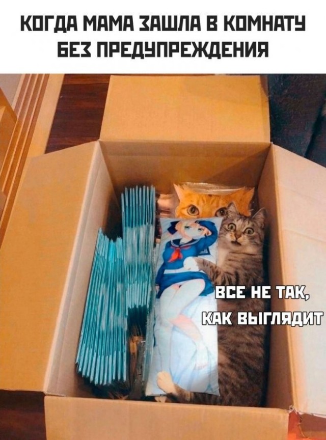 Так себе картинки 21.07.23