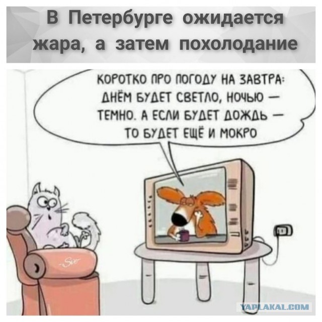 "Меня зовут Арлекино": суть женщин не меняется  в любые времена