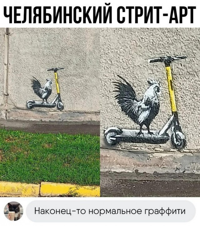 Забавные комментарии из социальных сетей (21.08.23)