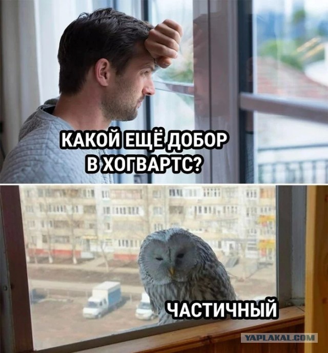 Когда решил посмотреть телевизор