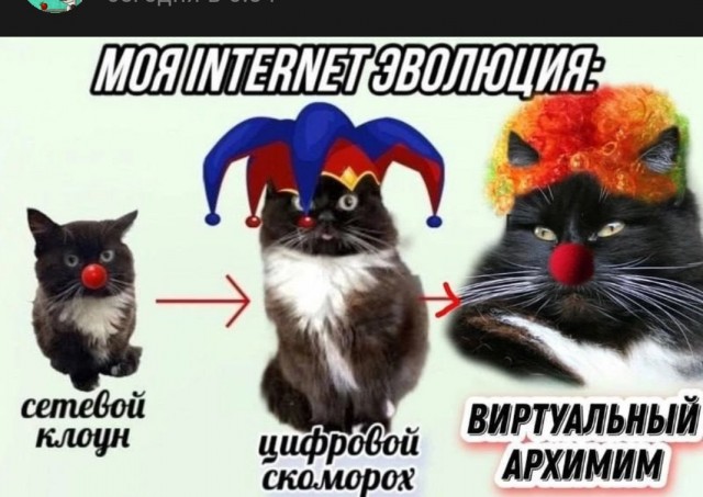 Советы от жадины, скряги и редкого жмота