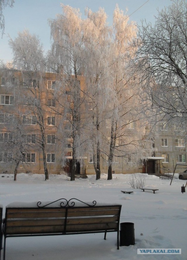 Зима в моей деревне
