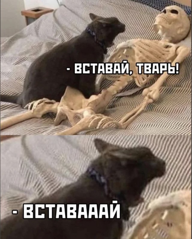Деградильня